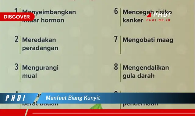 manfaat biang kunyit