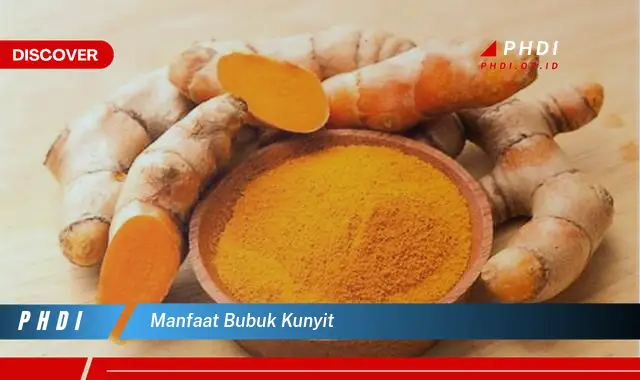 manfaat bubuk kunyit