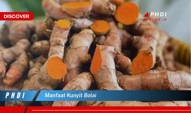 manfaat kunyit bolai