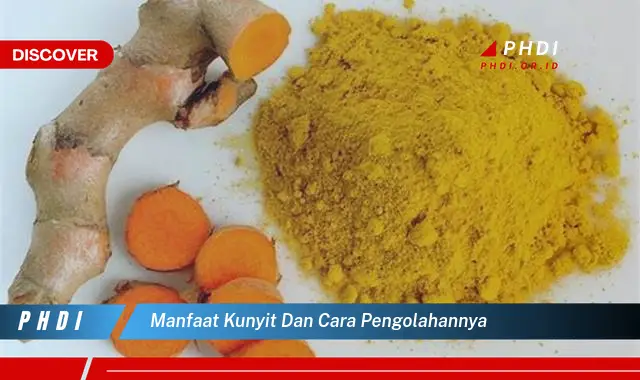 manfaat kunyit dan cara pengolahannya