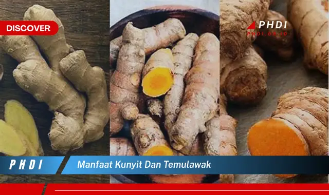 manfaat kunyit dan temulawak