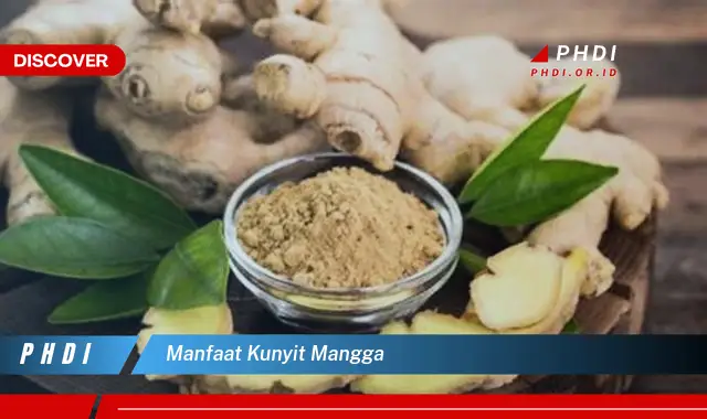 manfaat kunyit mangga