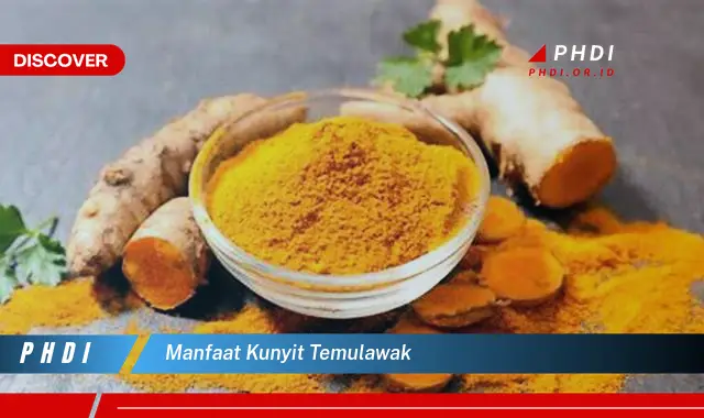 manfaat kunyit temulawak