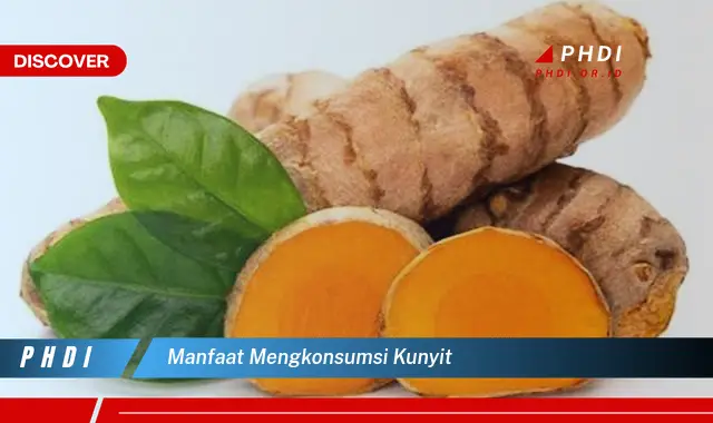 manfaat mengkonsumsi kunyit