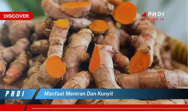 manfaat meniran dan kunyit