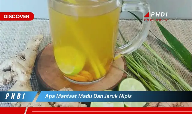 apa manfaat madu dan jeruk nipis