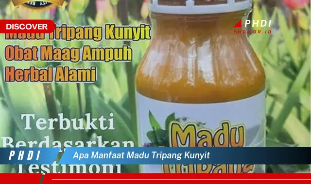 apa manfaat madu tripang kunyit