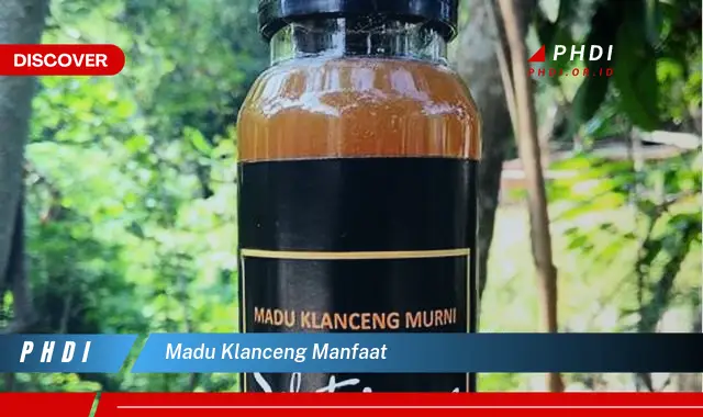 madu klanceng manfaat