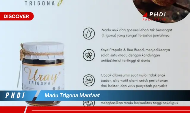 madu trigona manfaat