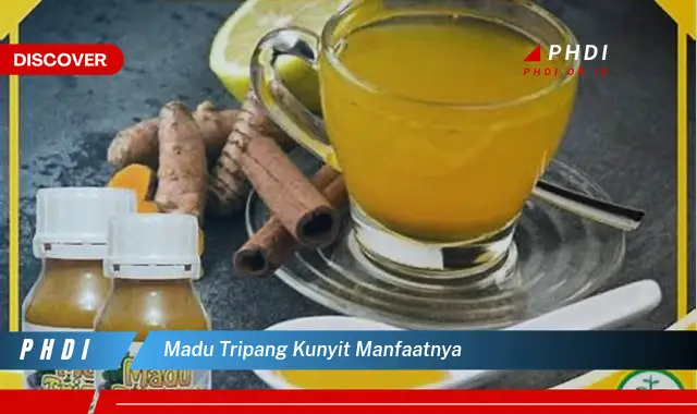 madu tripang kunyit manfaatnya