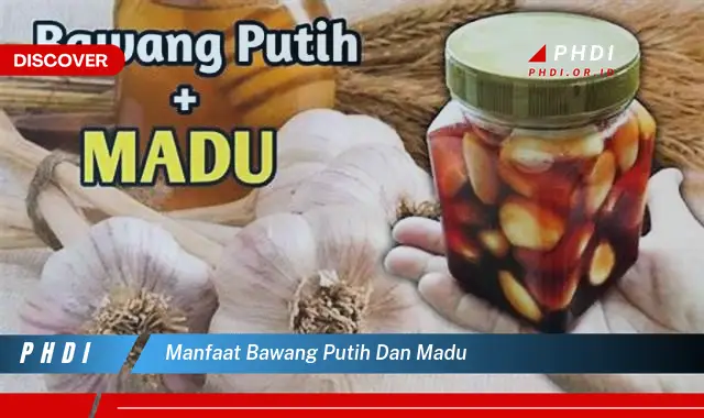 manfaat bawang putih dan madu