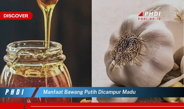 manfaat bawang putih dicampur madu