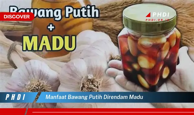 manfaat bawang putih direndam madu