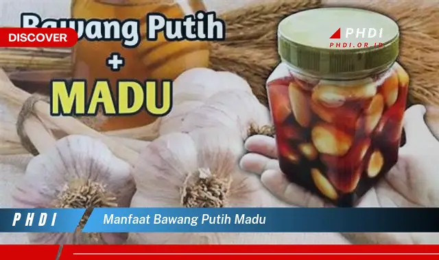 manfaat bawang putih madu