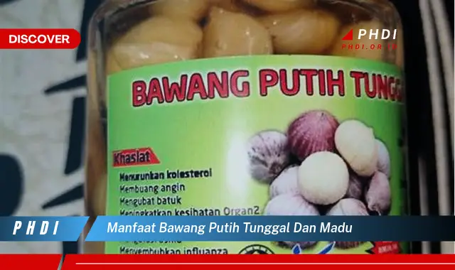 manfaat bawang putih tunggal dan madu