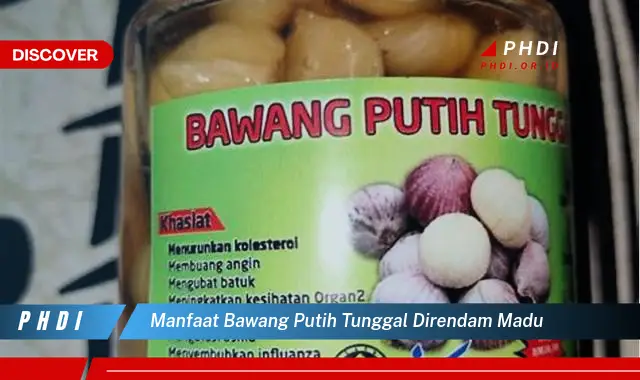 manfaat bawang putih tunggal direndam madu