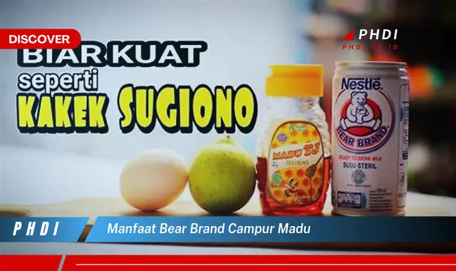 manfaat bear brand campur madu