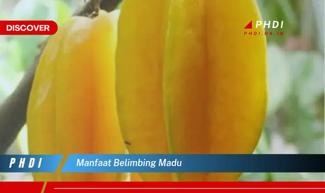 manfaat belimbing madu