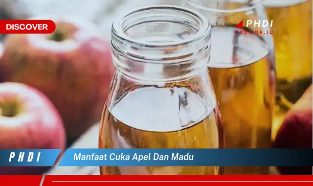 manfaat cuka apel dan madu