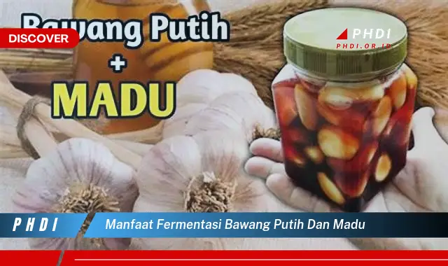 manfaat fermentasi bawang putih dan madu