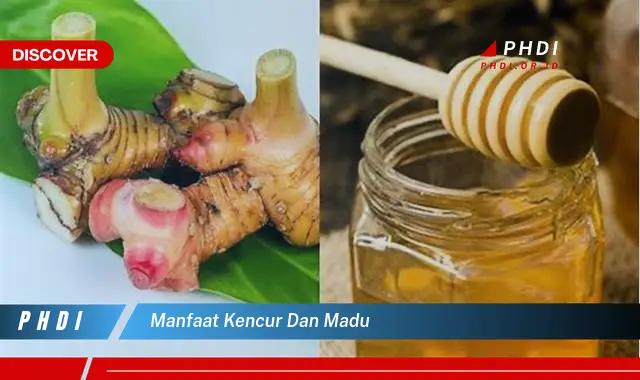 manfaat kencur dan madu