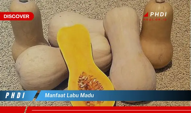 manfaat labu madu