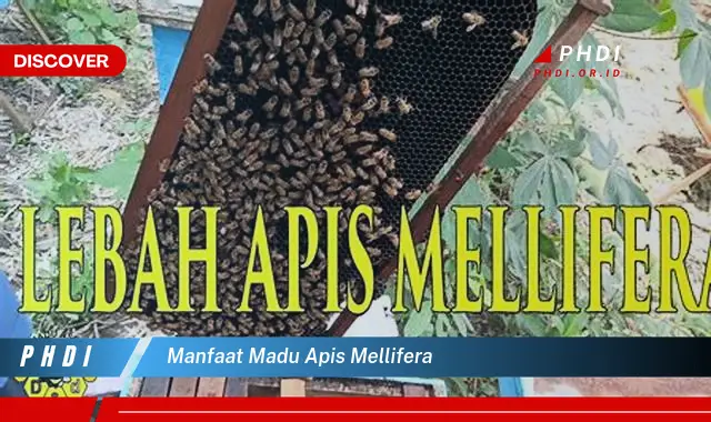 manfaat madu apis mellifera