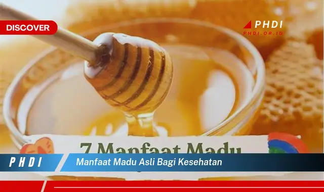 manfaat madu asli bagi kesehatan