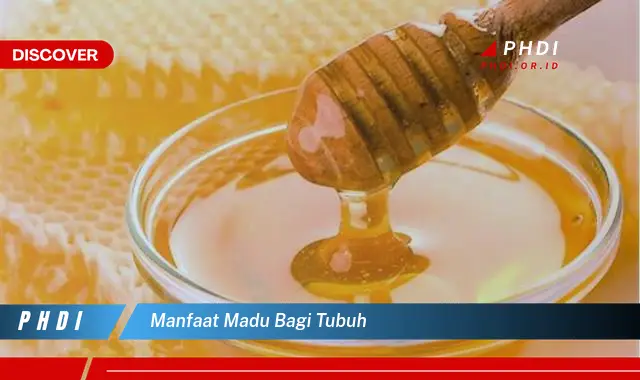 manfaat madu bagi tubuh