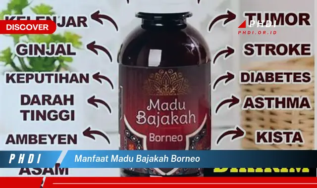 manfaat madu bajakah borneo