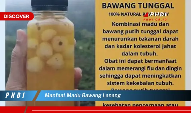 manfaat madu bawang lanang