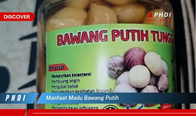 manfaat madu bawang putih