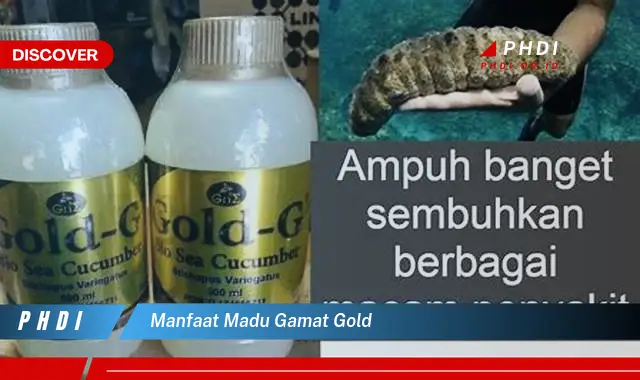 manfaat madu gamat gold