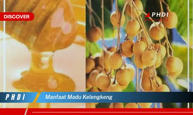 manfaat madu kelengkeng