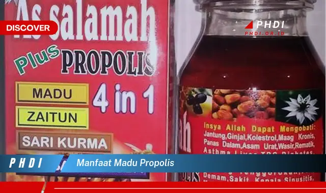 manfaat madu propolis