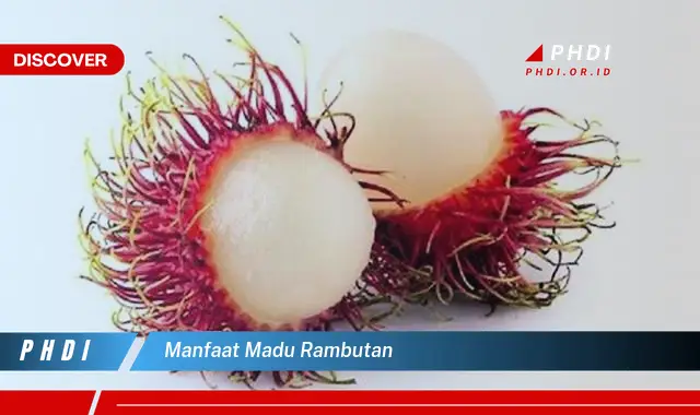 manfaat madu rambutan