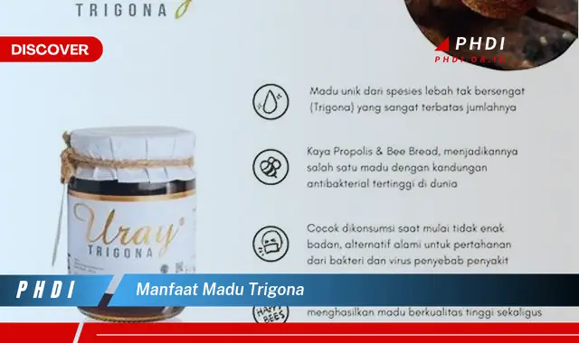 manfaat madu trigona