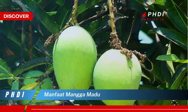 manfaat mangga madu