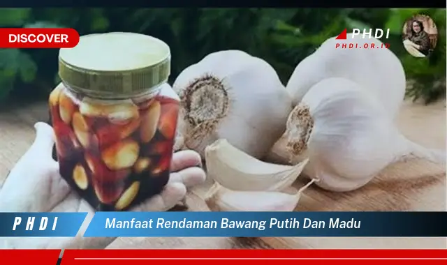 manfaat rendaman bawang putih dan madu