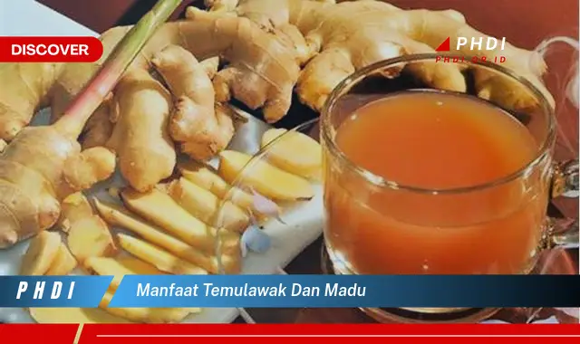 manfaat temulawak dan madu