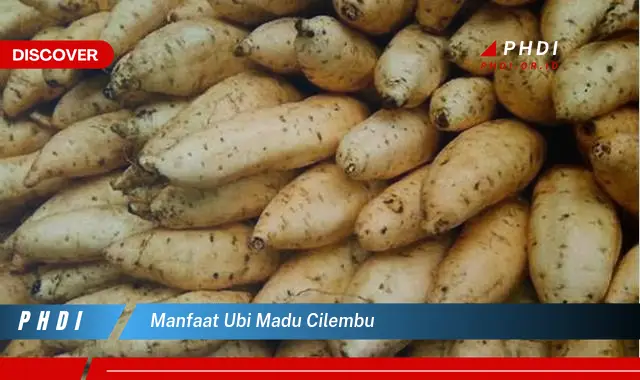 manfaat ubi madu cilembu