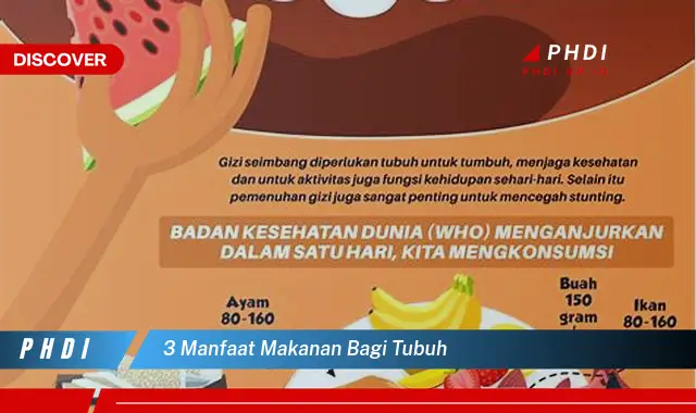 3 manfaat makanan bagi tubuh