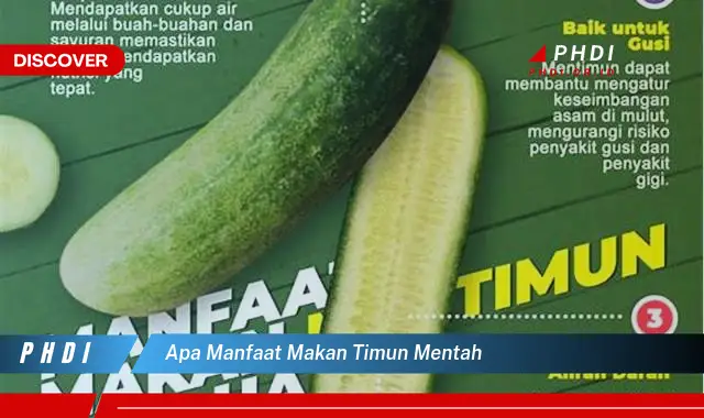 apa manfaat makan timun mentah