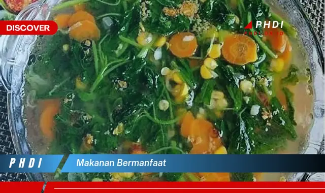 makanan bermanfaat