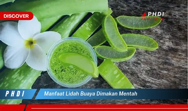 manfaat lidah buaya dimakan mentah