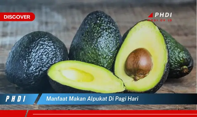 manfaat makan alpukat di pagi hari