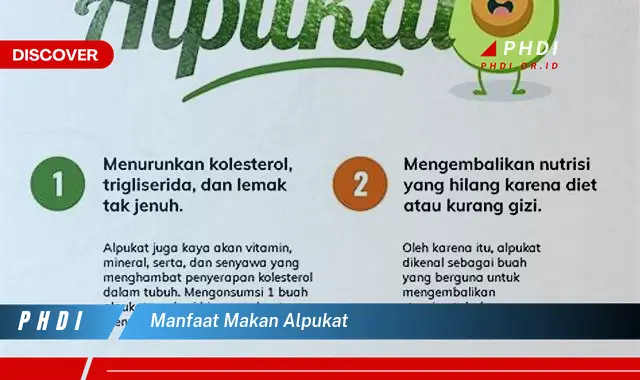 manfaat makan alpukat