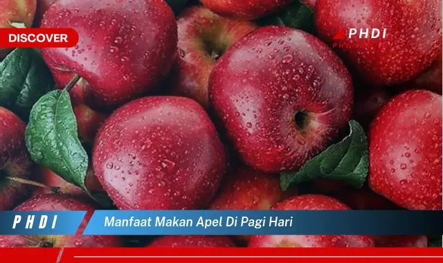 manfaat makan apel di pagi hari