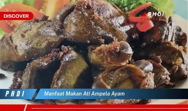 manfaat makan ati ampela ayam