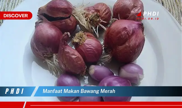 manfaat makan bawang merah